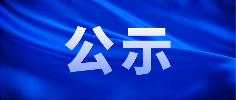 擴建年產40萬套高性能全鋼載重子午線輪胎項目公參公示